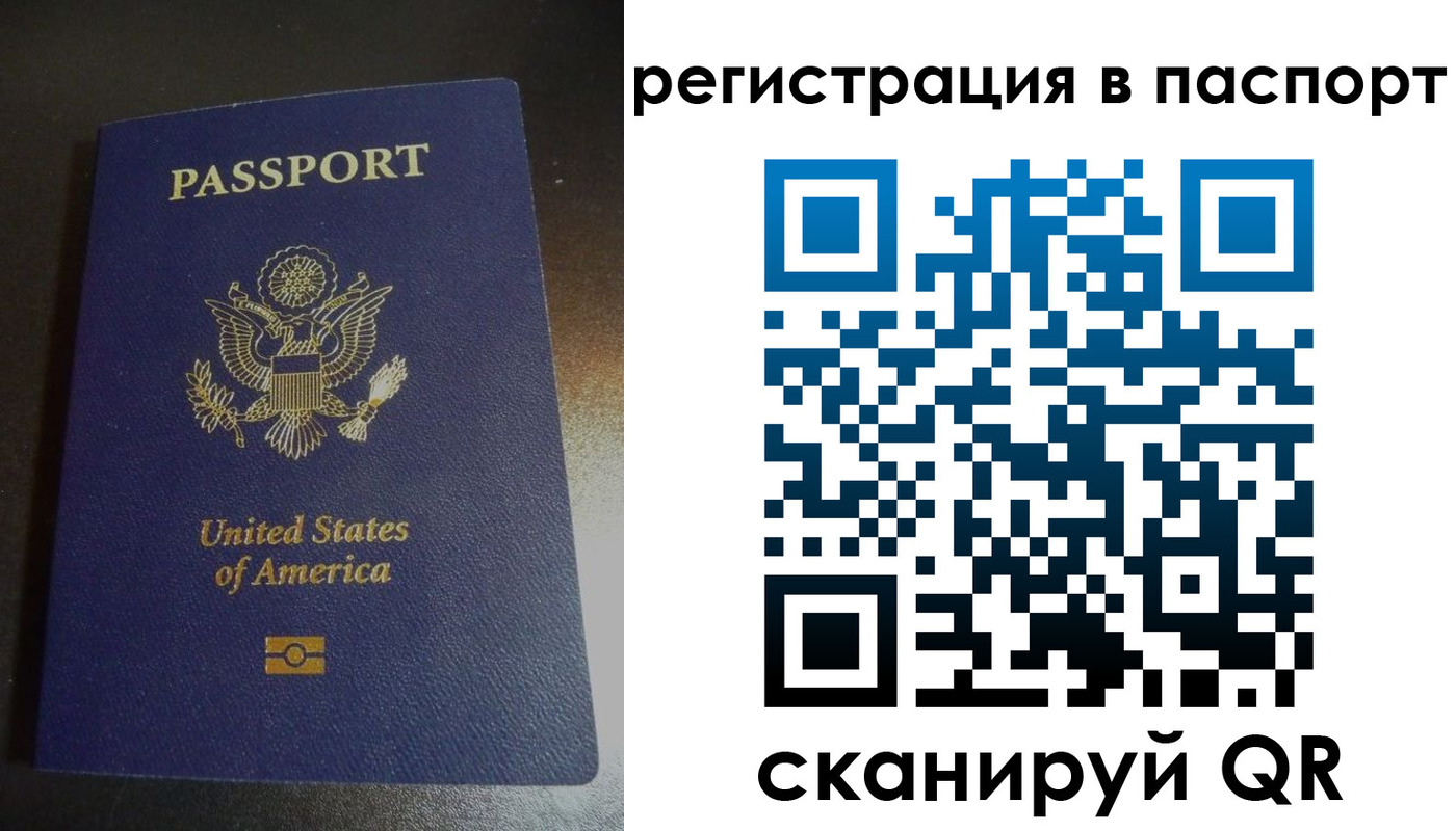 прописка для школы в Кондрово